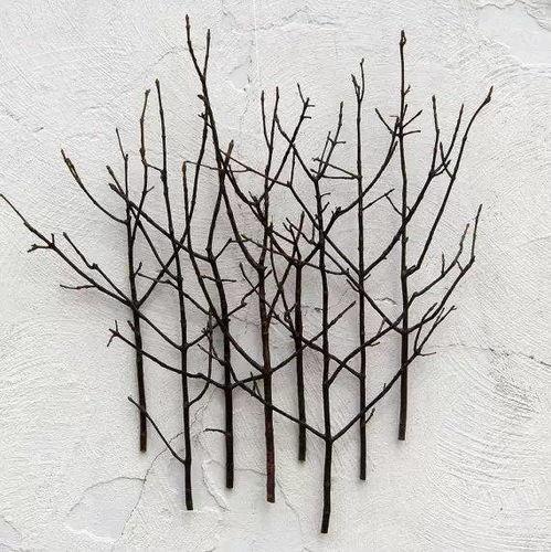 当树枝折断时,自然界的微妙平衡与力量展现