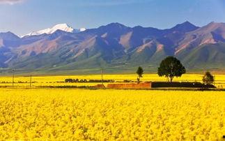 最中国云南之岚,岚影下的神秘仙境